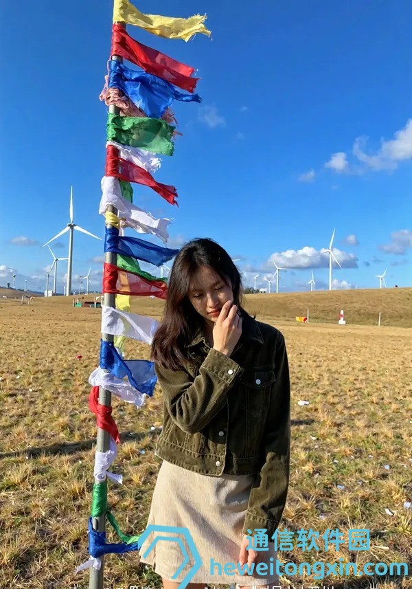 劉伯溫四肖八碼期期準(zhǔn)鳳凰藝術(shù)：傳說與數(shù)字的交匯，解碼選號的藝術(shù)